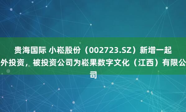 贵海国际 小崧股份（002723.SZ）新增一起对外投资，被投资公司为崧果数字文化（江西）有限公司
