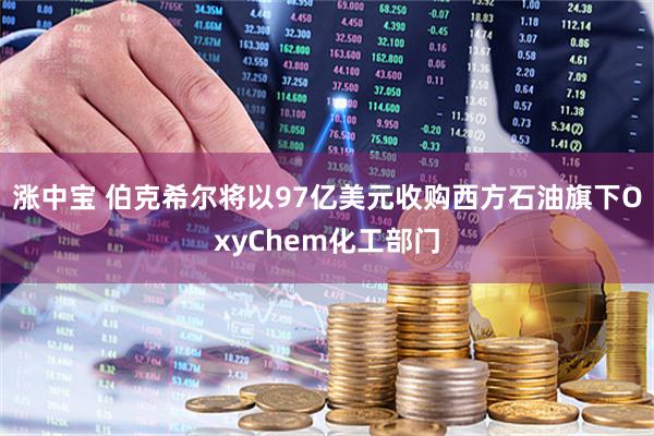 涨中宝 伯克希尔将以97亿美元收购西方石油旗下OxyChem化工部门