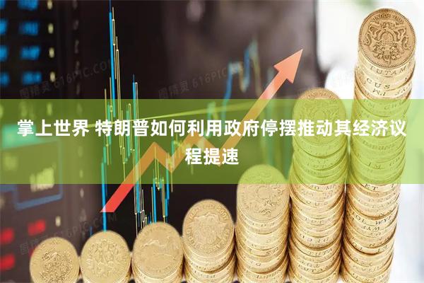 掌上世界 特朗普如何利用政府停摆推动其经济议程提速
