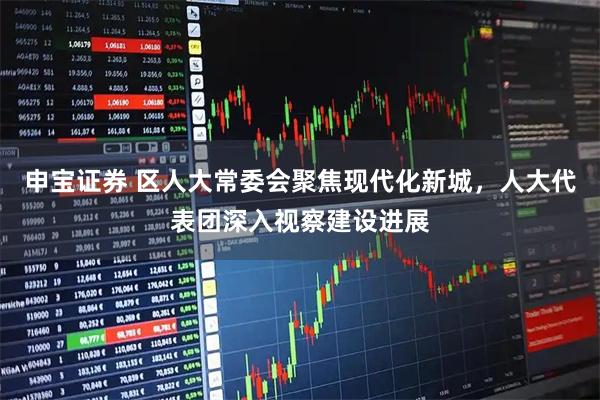 申宝证券 区人大常委会聚焦现代化新城，人大代表团深入视察建设进展