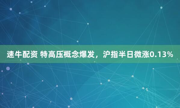 速牛配资 特高压概念爆发，沪指半日微涨0.13%