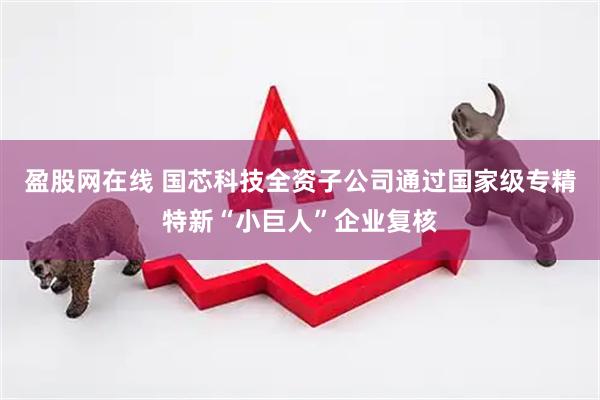 盈股网在线 国芯科技全资子公司通过国家级专精特新“小巨人”企业复核